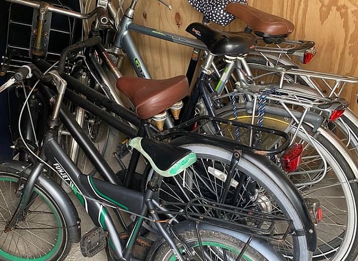 Gemuetliches Wohnzimmer mit Unterhaltung in Cottage in Matsloot, Ferienhaus in Nord-Drenthe, perfekt zum Entspannen.