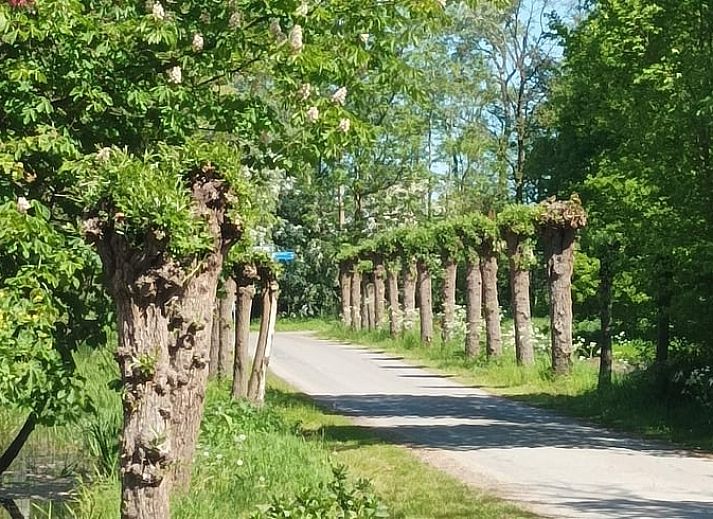 Schuur naast Huisje in Matsloot, vakantieaccommodatie in Noord Drenthe, Drenthe.