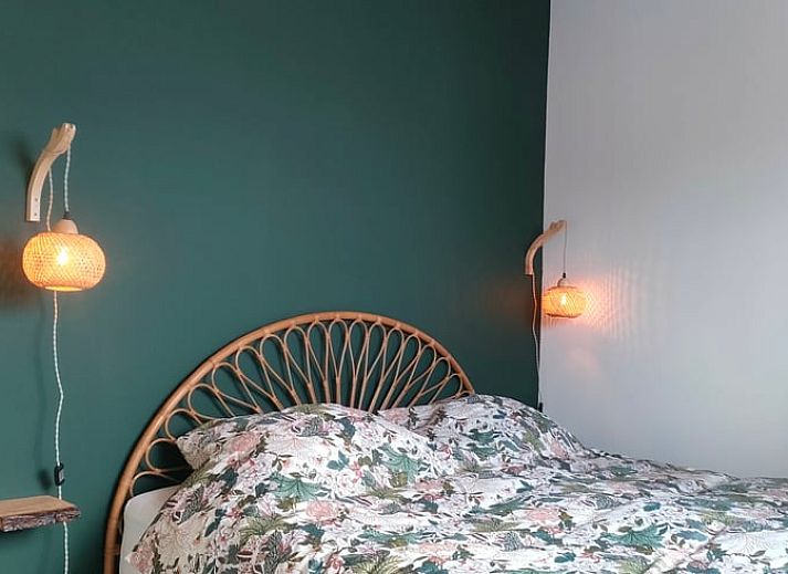 Guest house 184711 - Holiday property Noord Drenthe - Vakantiehuis in Matsloot