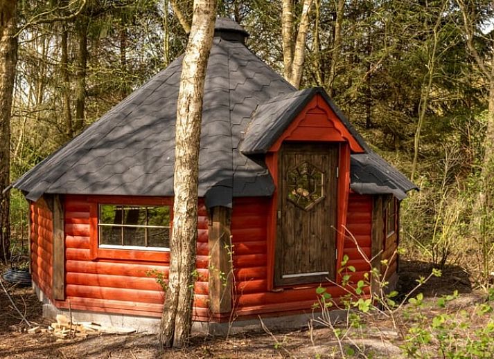 Cottage in Drouwenerveen, charming vacation home in the forests of North Drenthe, Drenthe.