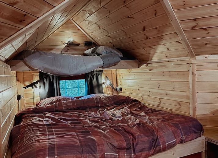 Cottage in Drouwenerveen, charming vacation home in the forests of North Drenthe, Drenthe.