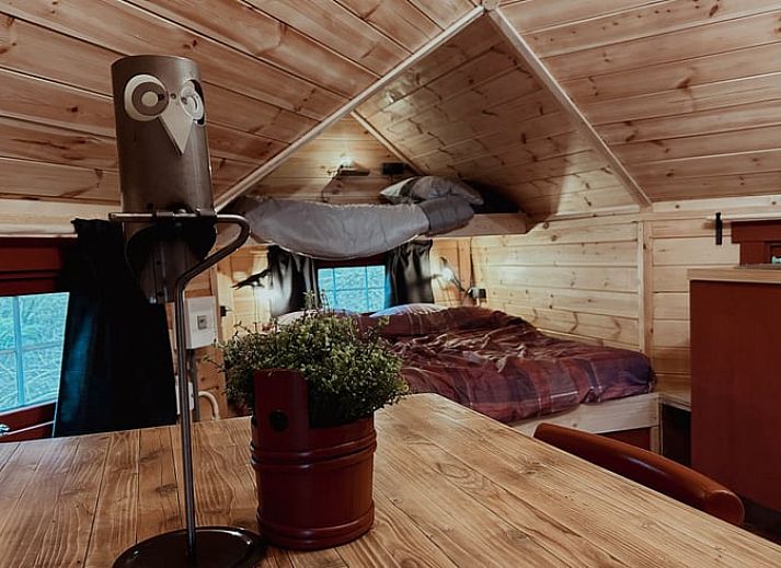 Rustic access to Cottage in Drouwenerveen, vacation home in North Drenthe, Drenthe.