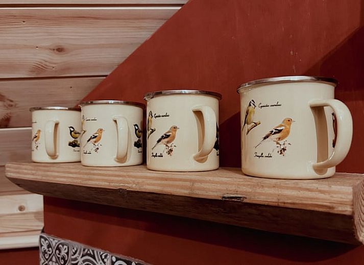 Rustic access to Cottage in Drouwenerveen, vacation home in North Drenthe, Drenthe.