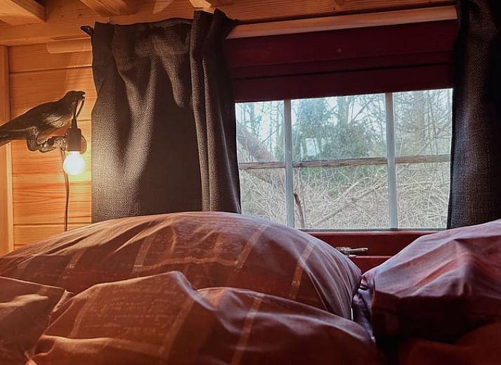 Traditional wooden outbuilding at Cottage in Drouwenerveen, vacation accommodation in North Drenthe, Drenthe.