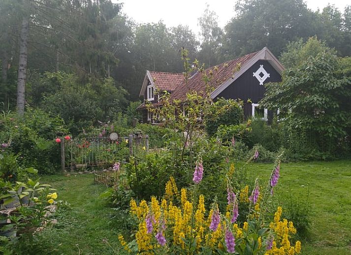 Verblijf 185405 • Vakantiewoning Noord Drenthe • Vakantiehuisje in Drouwenerveen