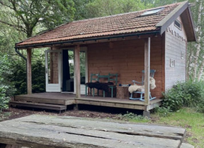 Knusse binnenruimte van Vakantiehuis in Drouwenerveen, Noord Drenthe, met houten interieur en keuken.