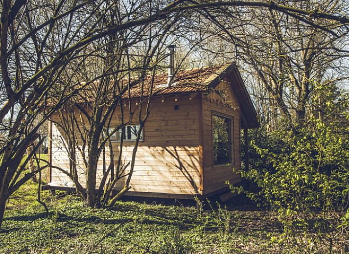 Knusse binnenruimte van Vakantiehuis in Drouwenerveen, Noord Drenthe, met houten interieur en keuken.