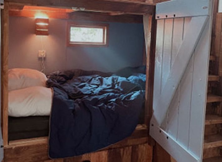 Uitzicht op de natuur vanuit Vakantiehuis in Drouwenerveen, Noord Drenthe, met comfortabele zitplek.