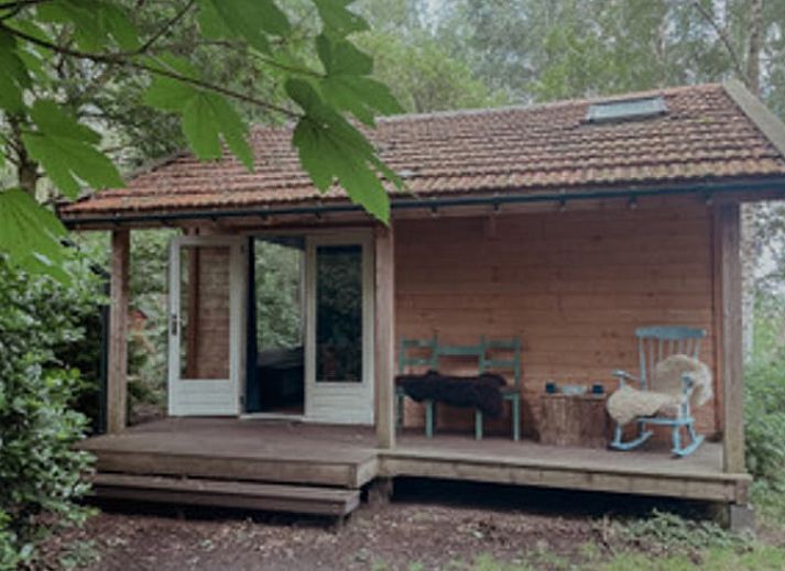 Uitzicht op de natuur vanuit Vakantiehuis in Drouwenerveen, Noord Drenthe, met comfortabele zitplek.