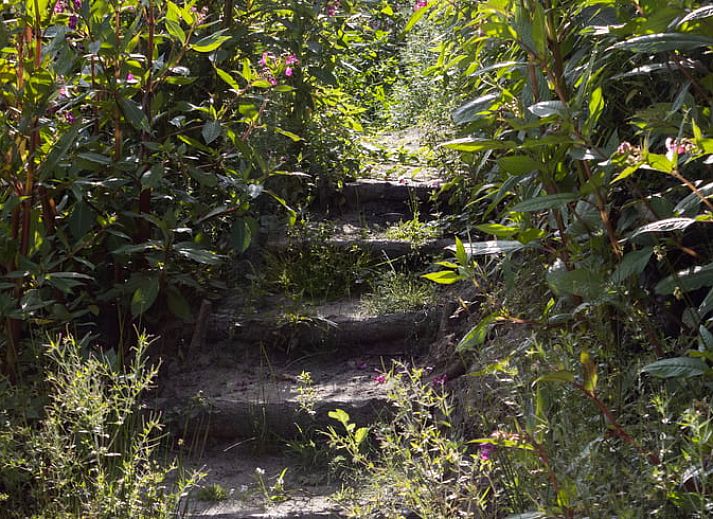 Rustieke veranda van Vakantiehuis in Drouwenerveen, Noord Drenthe, met houten schommelstoel.