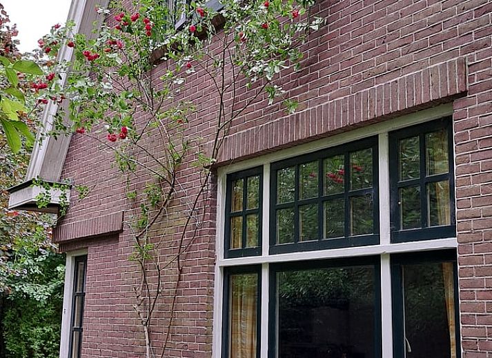 Gemuetliches Ferienhaus in Altena, Nord-Drenthe, umgeben von Natur.