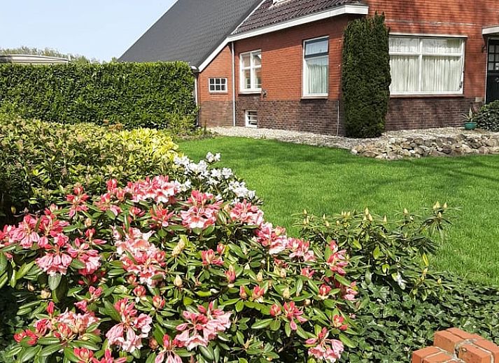Guest house 185701 - Holiday property Noord Drenthe - Huisje in Langelo