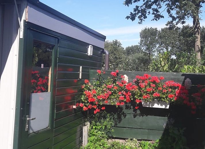 Guest house 185701 - Holiday property Noord Drenthe - Huisje in Langelo