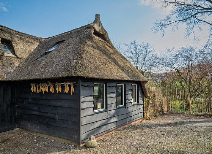 Unterkunft 185901 - Ferienhaus Noord Drenthe - Huisje in Zeijen