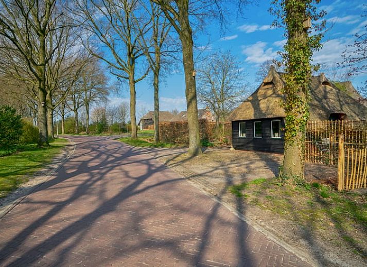 Unterkunft 185901 - Ferienhaus Noord Drenthe - Huisje in Zeijen