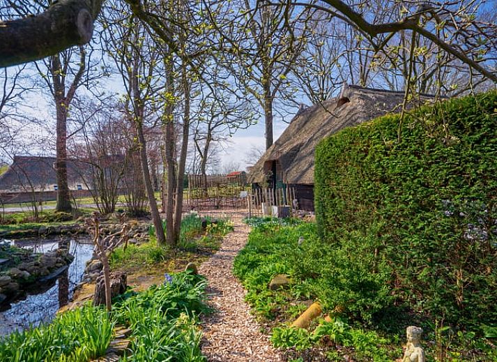Unterkunft 185901 - Ferienhaus Noord Drenthe - Huisje in Zeijen