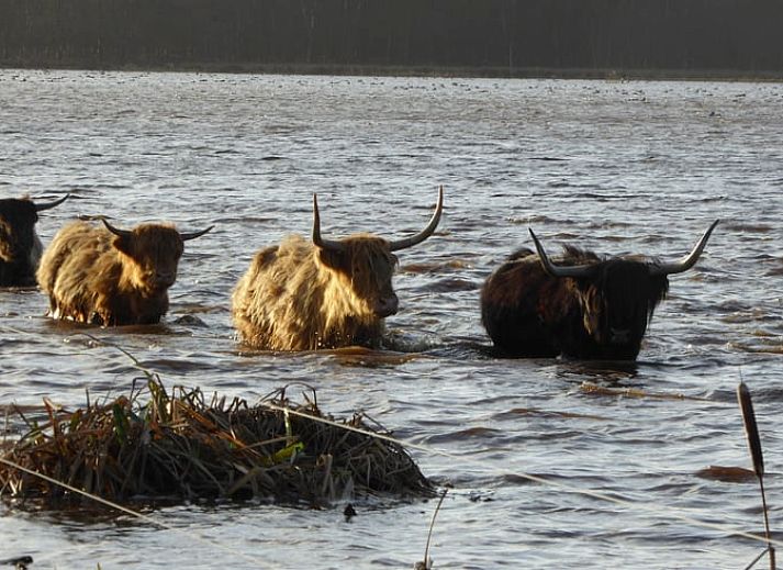 Eetgedeelte met uitzicht op tuin in Huisje in Meppen, vakantiehuis in Zuidoost Drenthe, Drenthe.