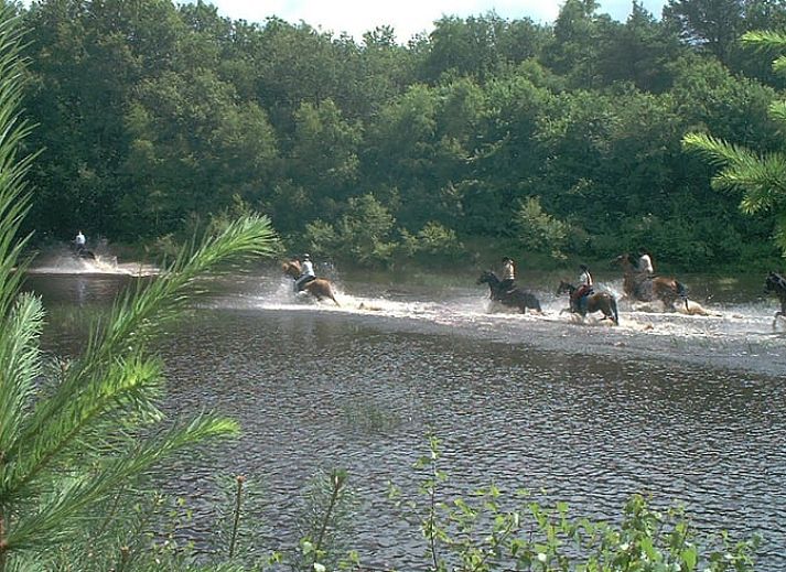 Comfortabele zithoek in Huisje in Meppen, vakantiehuis in Zuidoost Drenthe, Drenthe.