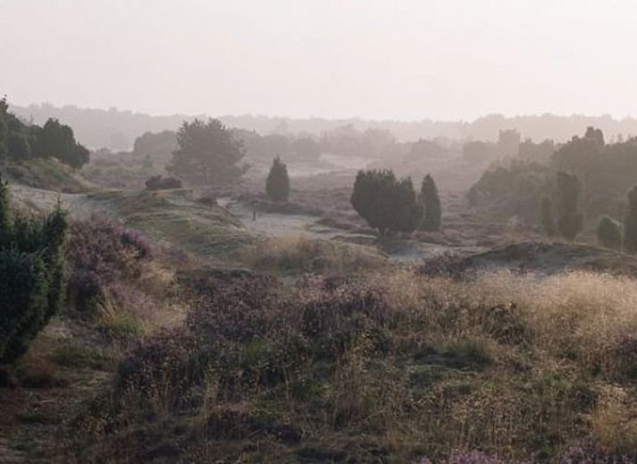 Comfortabele zithoek in Huisje in Meppen, vakantiehuis in Zuidoost Drenthe, Drenthe.