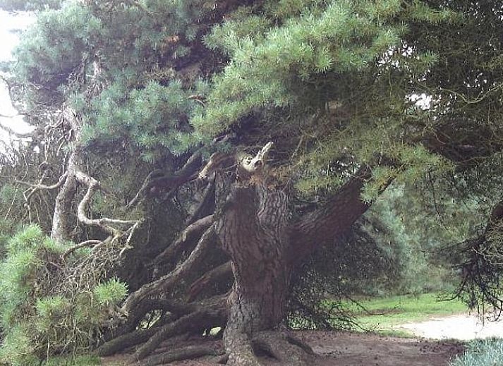 Comfortabele zithoek in Huisje in Meppen, vakantiehuis in Zuidoost Drenthe, Drenthe.