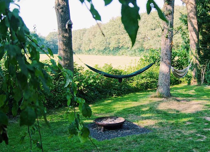 Winterlandschaft um das Ferienhaus DG357 in Meppen, Drenthe mit verschneiten Baeumen und Pferd.