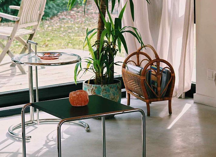 Winterlandschaft um das Ferienhaus DG357 in Meppen, Drenthe mit verschneiten Baeumen und Pferd.