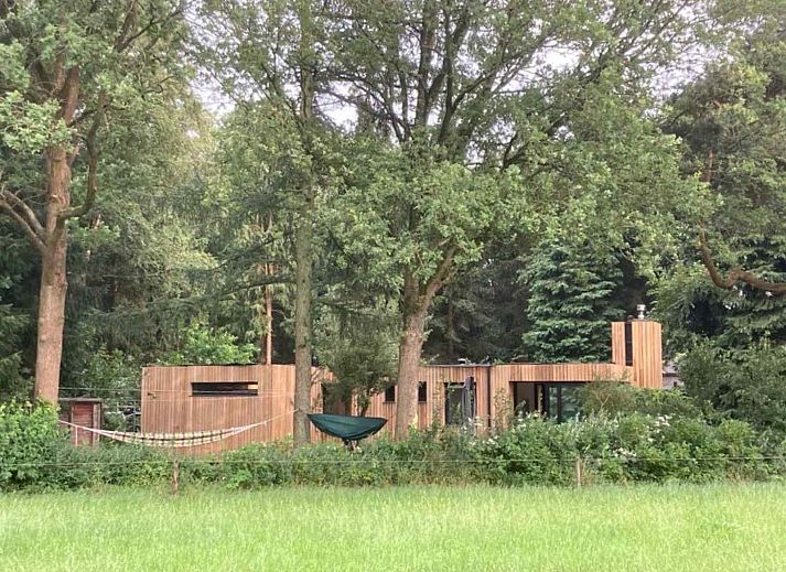 Natuerliche Umgebung des Ferienhauses DG357 in Meppen, Drenthe mit einem Grashuepfer auf einem Stuhl.