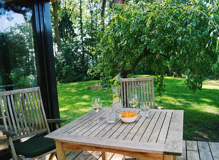 Natuerliche Umgebung des Ferienhauses DG357 in Meppen, Drenthe mit einem Grashuepfer auf einem Stuhl.