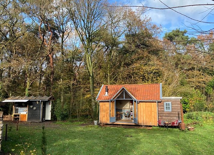 Dekorative Details im Ferienhaus in Meppen mit Glasmalerei und botanischer Kunst sorgen fuer eine einzigartige Atmosphaere.