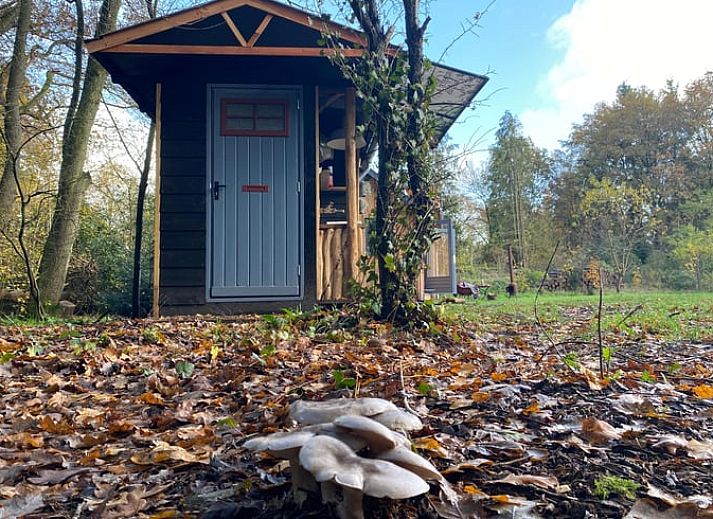 Dekorative Details im Ferienhaus in Meppen mit Glasmalerei und botanischer Kunst sorgen fuer eine einzigartige Atmosphaere.