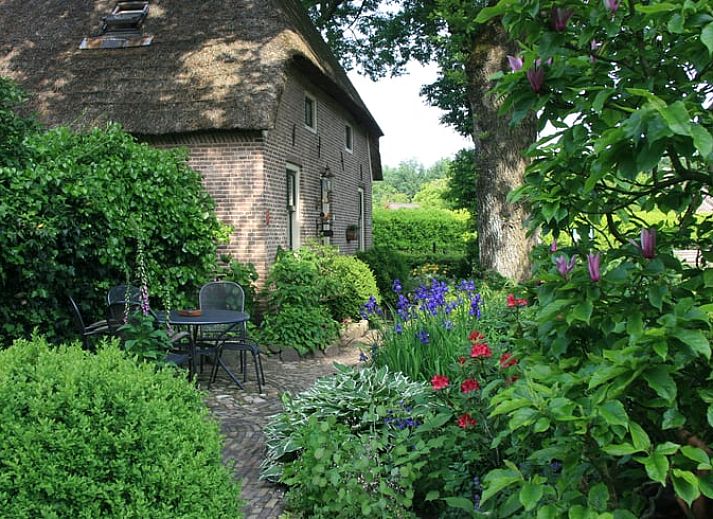 Vakantiehuis in Aalden, charmant vakantiehuis omringd door bomen in Zuidoost Drenthe, Drenthe.