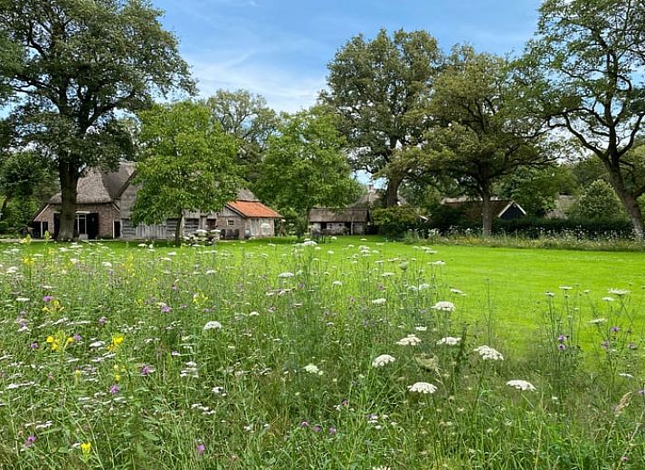 Vakantiehuis in Aalden, charmant vakantiehuis omringd door bomen in Zuidoost Drenthe, Drenthe.