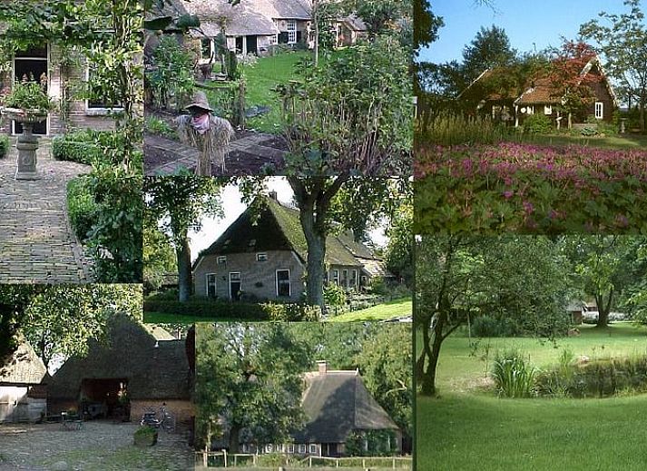 Vakantiehuis in Aalden, charmant vakantiehuis omringd door bomen in Zuidoost Drenthe, Drenthe.
