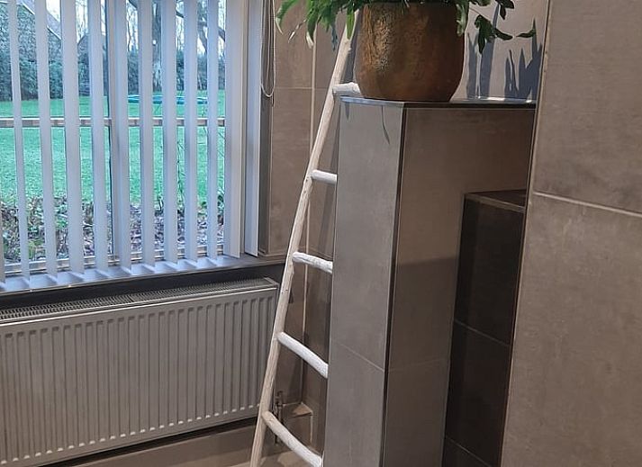 Vakantiehuis in Aalden, gezellige tuin met zitje bij vakantiehuis in Zuidoost Drenthe, Drenthe.