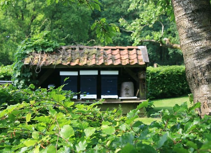 Vakantiehuis in Aalden, gezellige tuin met zitje bij vakantiehuis in Zuidoost Drenthe, Drenthe.