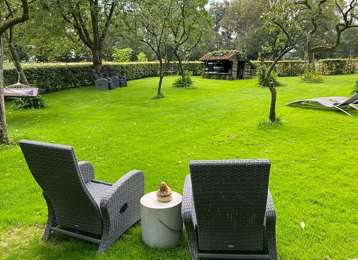 Vakantiehuis in Aalden, uitgestrekt groen veld met bloemen nabij vakantiehuis in Zuidoost Drenthe, Drenthe.