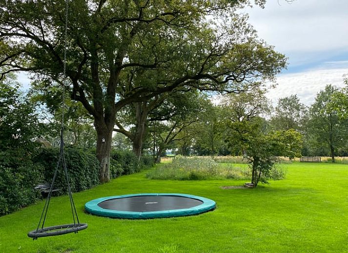 Vakantiehuis in Aalden, uitgestrekt groen veld met bloemen nabij vakantiehuis in Zuidoost Drenthe, Drenthe.