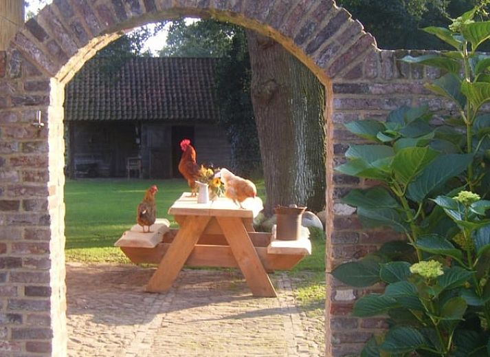 Vakantiehuis in Aalden, uitgestrekt groen veld met bloemen nabij vakantiehuis in Zuidoost Drenthe, Drenthe.