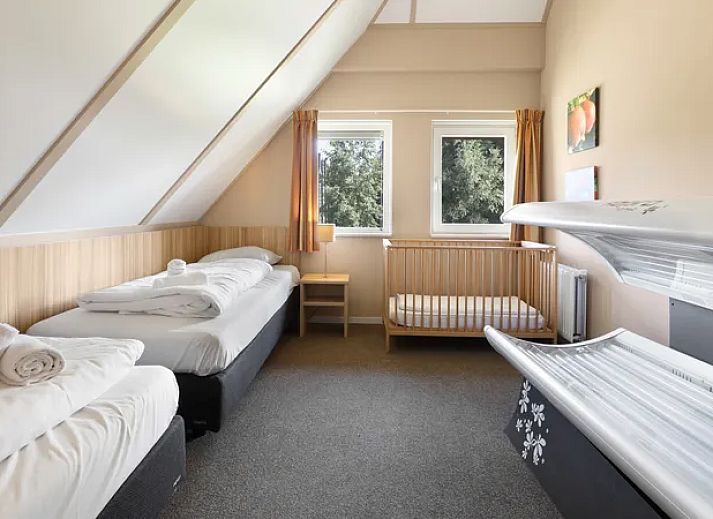 Unterkunft 190317 - Bungalow Zuidoost Drenthe - Aelderholt | 12-persoons bungalow | 12EL