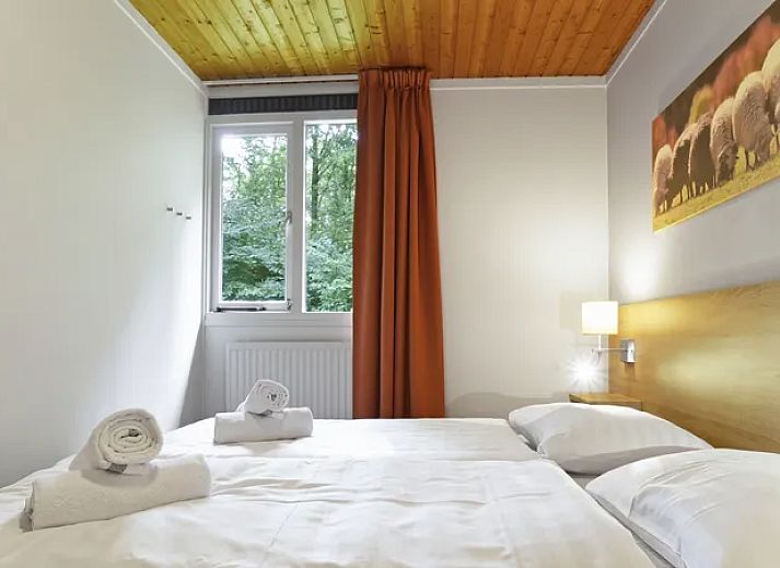 Guest house 190319 - Bungalow Zuidoost Drenthe - Aelderholt | 6-persoons bungalow | 6B