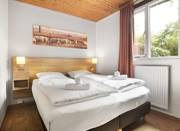 Unterkunft 190322 - Bungalow Zuidoost Drenthe - Aelderholt | 4-persoons bungalow | 4C