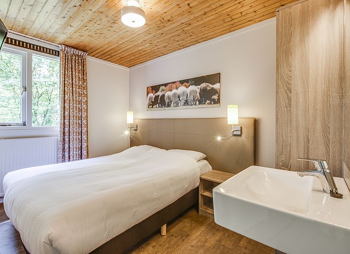 Unterkunft 190336 - Bungalow Zuidoost Drenthe - Aelderholt | 4-persoons bungalow | 4CE