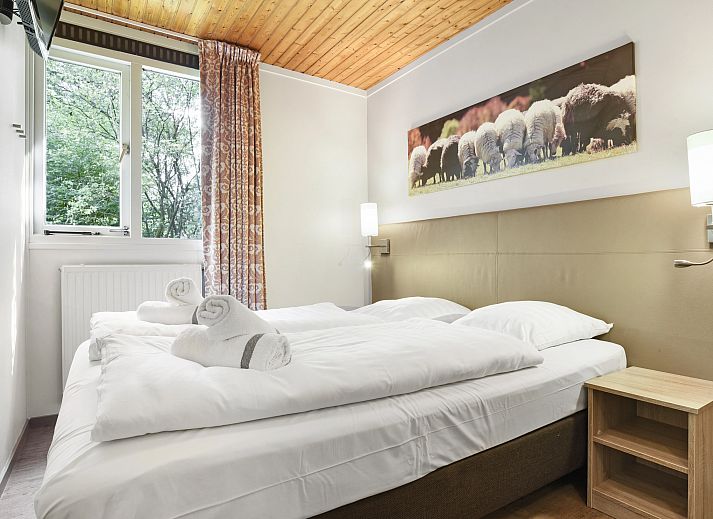 Unterkunft 190336 - Bungalow Zuidoost Drenthe - Aelderholt | 4-persoons bungalow | 4CE