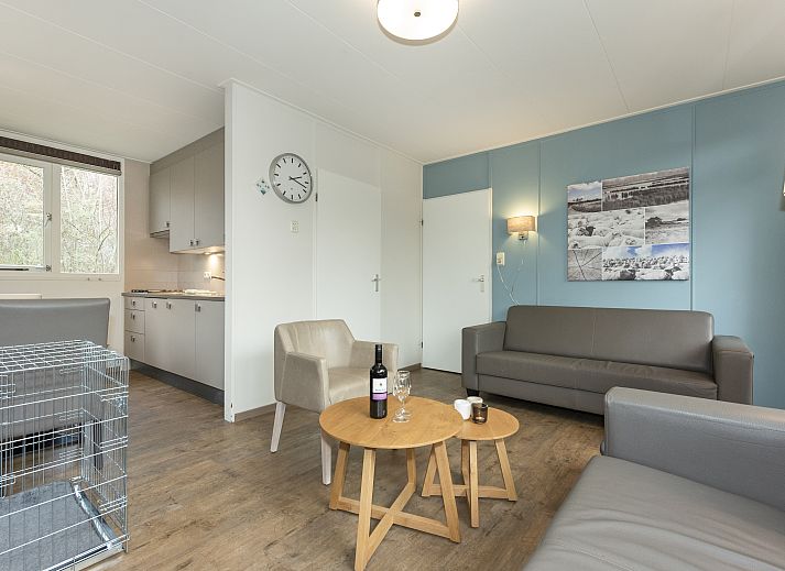 Gezellige woonkamer met open haard in Aelderholt 6-persoons bungalow, Aalden, Drenthe.