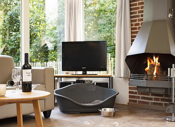 Zithoek met open haard in Aelderholt bungalow, ideaal voor ontspannen in Drenthe.