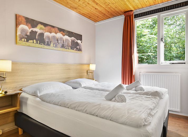 Zithoek met open haard in Aelderholt bungalow, ideaal voor ontspannen in Drenthe.