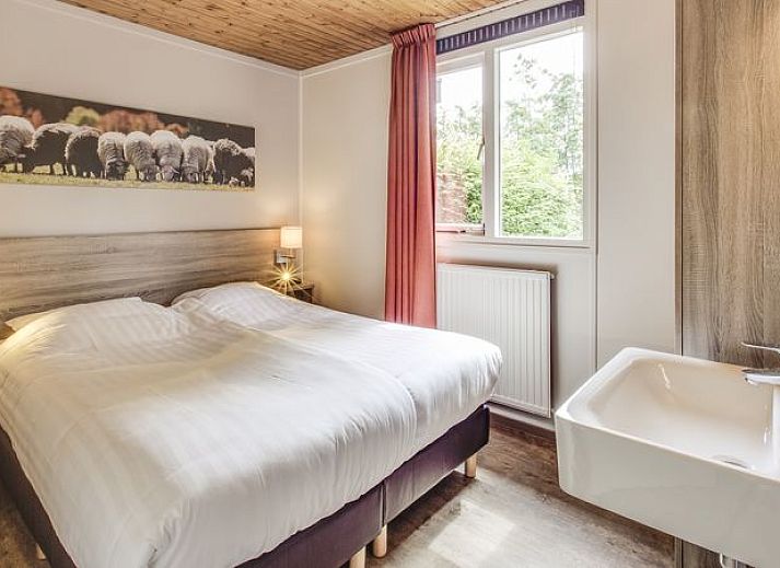 Guest house 190347 - Bungalow Zuidoost Drenthe - Aelderholt | 2-persoons bungalow | 2C