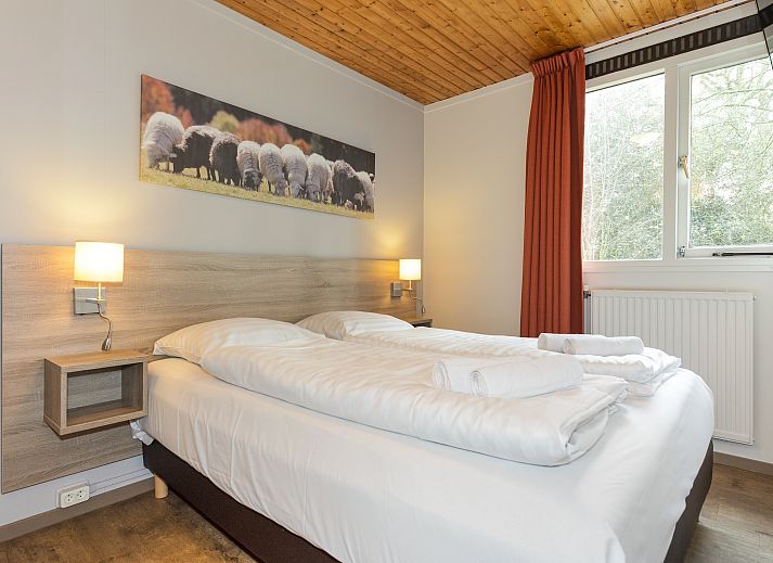 Buitenzijde van Aelderholt 4-persoons babybungalow 4CN in Aalden, met terras en groene omgeving.