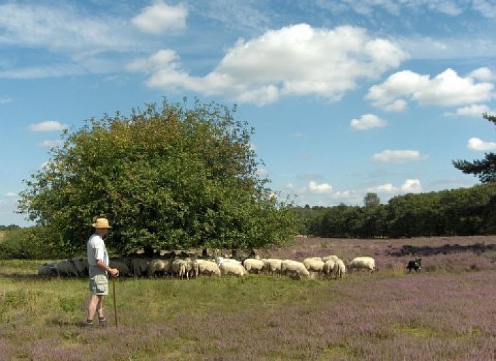 Cozy living room of clean holiday bungalow in Exloo, Drenthe overlooking the garden.