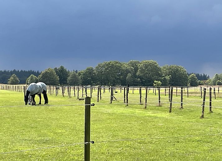 Gemuetliches Wohnzimmer im Ferienhaus DG280 in Exloo, Suedost-Drenthe, mit bequemem roten Sofa und Blick auf die gruene Natur.
